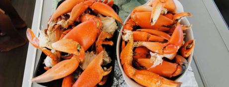 Reve2Mer  Lagoon Catamaran Lagoon 620 Exterior 9