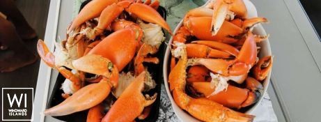 Reve2Mer  Lagoon Catamaran Lagoon 620 Exterior 9