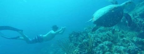 FOXY LADY  Lagoon Catamaran Lagoon 620 Exterior 13