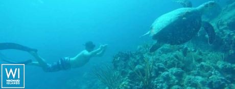 FOXY LADY  Lagoon Catamaran Lagoon 620 Exterior 13