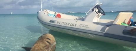 TIGER LILY   Lagoon Catamaran Lagoon 620 Exterior 6