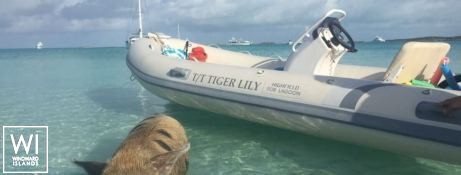 TIGER LILY   Lagoon Catamaran Lagoon 620 Exterior 6