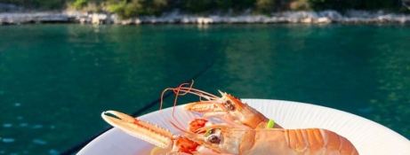 Adriatic Tiger  Lagoon Catamaran Lagoon 620 Exterior 14