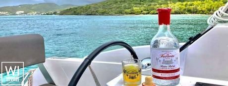 ILLUSION  Nautitech Catamaran Nautitech 46 open Exterior 9