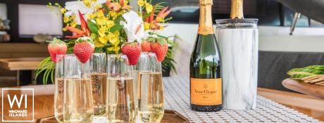 ULTRA  Lagoon Catamaran Power 630 Exterior 1