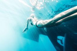 Dallinghoo   Ketch  24M Exterior 4