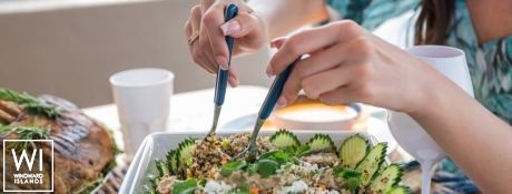 Exhibit A  Nautitech Catamaran Nautitech 46 Fly Interior 15