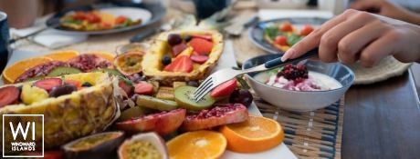 Exhibit A  Nautitech Catamaran Nautitech 46 Fly Interior 16