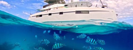 Papillon  Nautitech Catamaran Nautitech 46 Fly Exterior 6