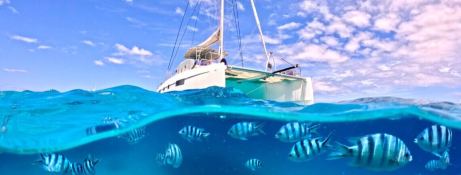 Papillon  Nautitech Catamaran Nautitech 46 Fly Exterior 1