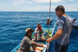 Ocean Pure 1   Ketch  46M Exterior 6