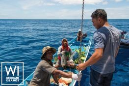 Ocean Pure 1   Ketch  46M Exterior 6