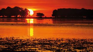 Ocean Pure 1   Ketch  46M Exterior 7
