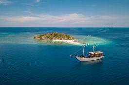 Ocean Pure 1   Ketch  46M Exterior 8