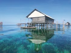 Ocean Pure 1   Ketch  46M Exterior 10