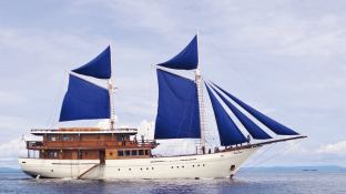 Ocean Pure 1   Ketch  46M Exterior 1