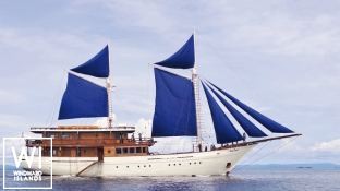 Ocean Pure 1   Ketch  46M Exterior 1
