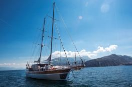 Silver Star II  Turkish Gulet Goelette  26.7M Exterior 7