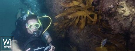 ISLAND HOPPIN'  Lagoon Catamaran Lagoon 52 Exterior 11