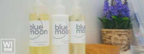 BLUE MOON  Lagoon Catamaran Lagoon 52 Interior 17