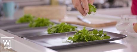 NAMASTE OF BALI  Catana Catamaran Bali 5.4 Exterior 11