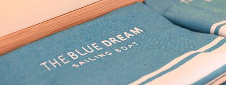 The Blue Dream  Fountaine Pajot Alegria 67 Interior 14