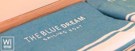 The Blue Dream  Fountaine Pajot Alegria 67 Interior 14