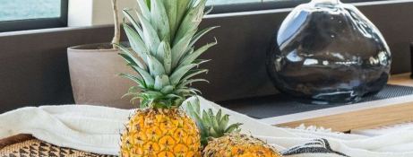 White Caps  Lagoon Catamaran Lagoon 65 Exterior 6