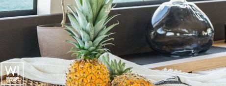 White Caps  Lagoon Catamaran Lagoon 65 Exterior 6