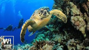 SCUBA SPA   Motoryacht 50M Interior 13