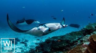 SCUBA SPA   Motoryacht 50M Interior 18