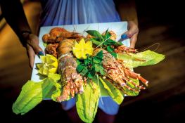 SCUBA SPA   Motoryacht 50M Interior 19