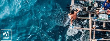 KUDANIL    Motoryacht 50M Exterior 9