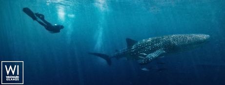 KUDANIL    Motoryacht 50M Exterior 4