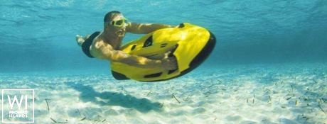 SOMETHING WONDERFUL  Robertson & Caines Leopard  5800 Exterior 1