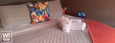 TEDAVI  Fountaine Pajot Aura 51 Interior 26