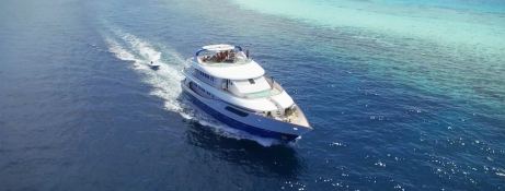 Honors Legacy   Honors Legacy 33m Exterior 5