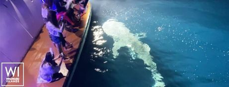 Honors Legacy   Honors Legacy 33m Exterior 19