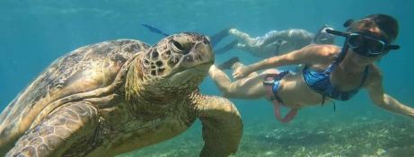 Liquid Coconut  Robertson & Caines Leopard  45 Exterior 4