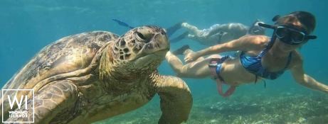 Liquid Coconut  Robertson & Caines Leopard  45 Exterior 4