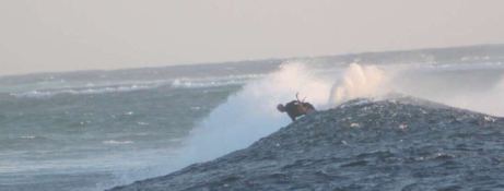 Liquid Coconut  Robertson & Caines Leopard  45 Exterior 6