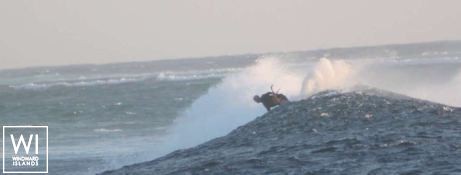 Liquid Coconut  Robertson & Caines Leopard  45 Exterior 6