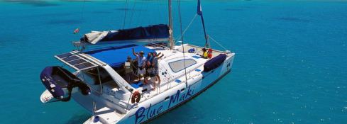 BLUE MAKI  Robertson & Caines Leopard  47 Exterior 1