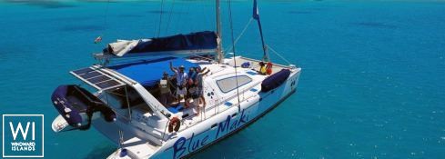 BLUE MAKI  Robertson & Caines Leopard  47 Exterior 1