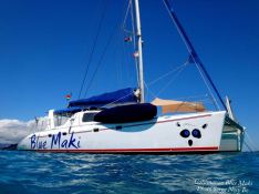 BLUE MAKI  Robertson & Caines Leopard  47 Exterior 0