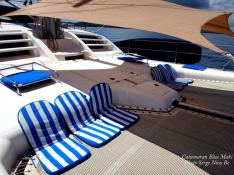 BLUE MAKI  Robertson & Caines Leopard  47 Interior 1