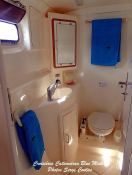 BLUE MAKI  Robertson & Caines Leopard  47 Interior 1