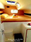 BLUE MAKI  Robertson & Caines Leopard  47 Interior 1