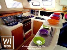 BLUE MAKI  Robertson & Caines Leopard  47 Interior 1