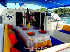 BLUE MAKI  Robertson & Caines Leopard  47 Interior 1